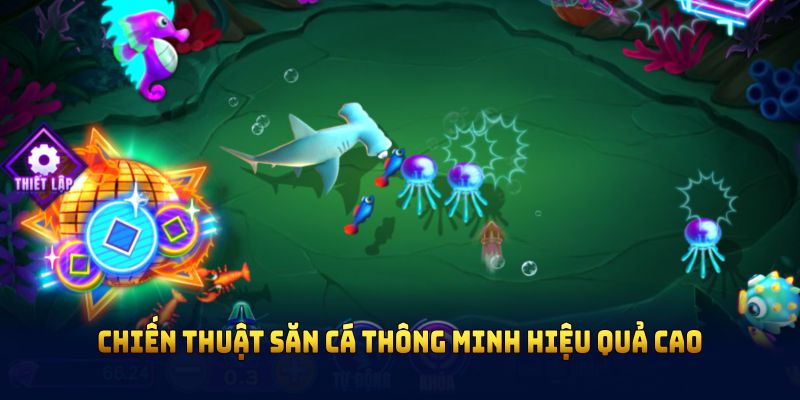 Chiến thuật săn cá thông minh hiệu quả cao