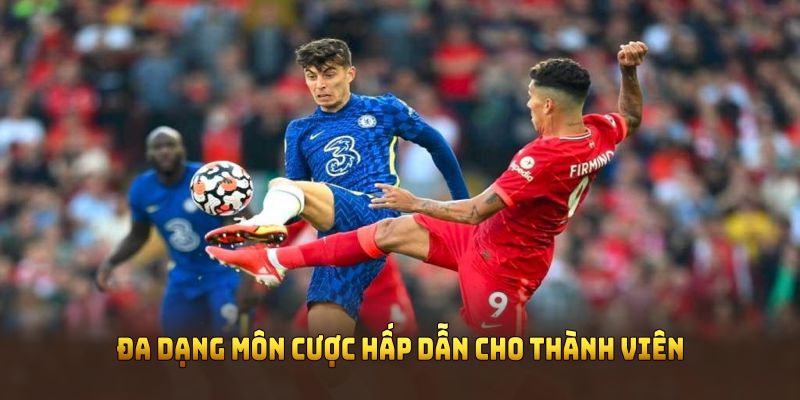 Đa dạng môn cược hấp dẫn cho thành viên