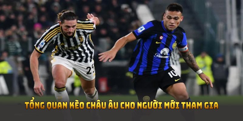 Tổng quan kèo châu Âu cho người mới tham gia