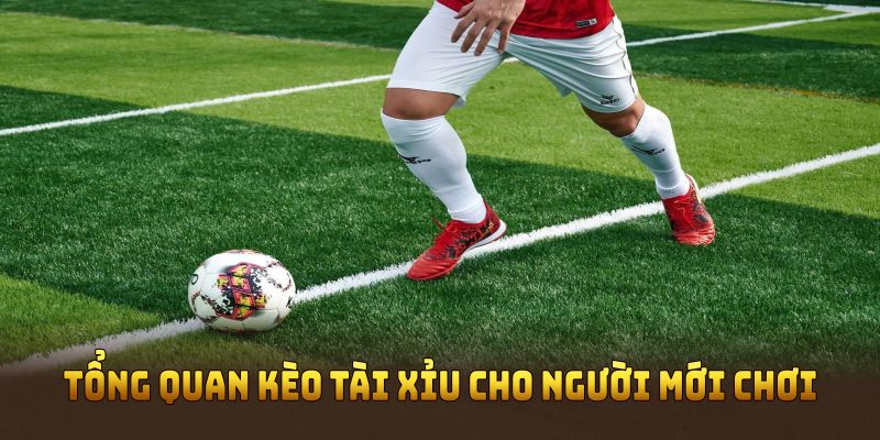 Tổng quan kèo tài xỉu cho người mới chơi tại OK365