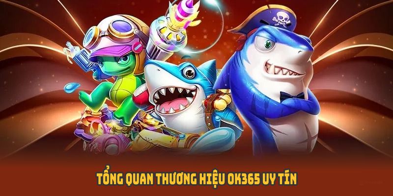 Tổng quan thương hiệu OK365 uy tín hàng đầu